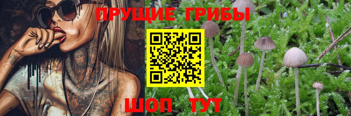 Псилоцибиновые грибы Magic Shrooms  Псилоцибиновые грибы Psilocybe  Шахты  Вход с VPN 